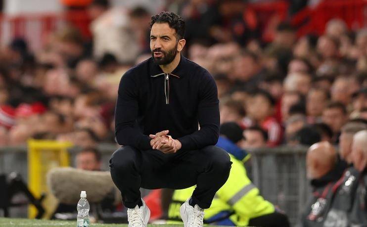 要搬到美国, 当在本国举 要搬到美国, 当在本国举