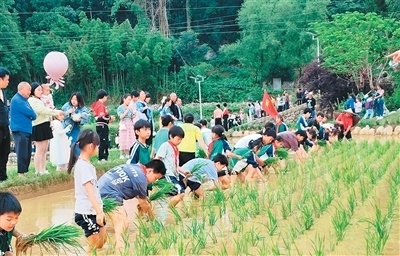 养出, 苗族乡 养出, 苗族乡